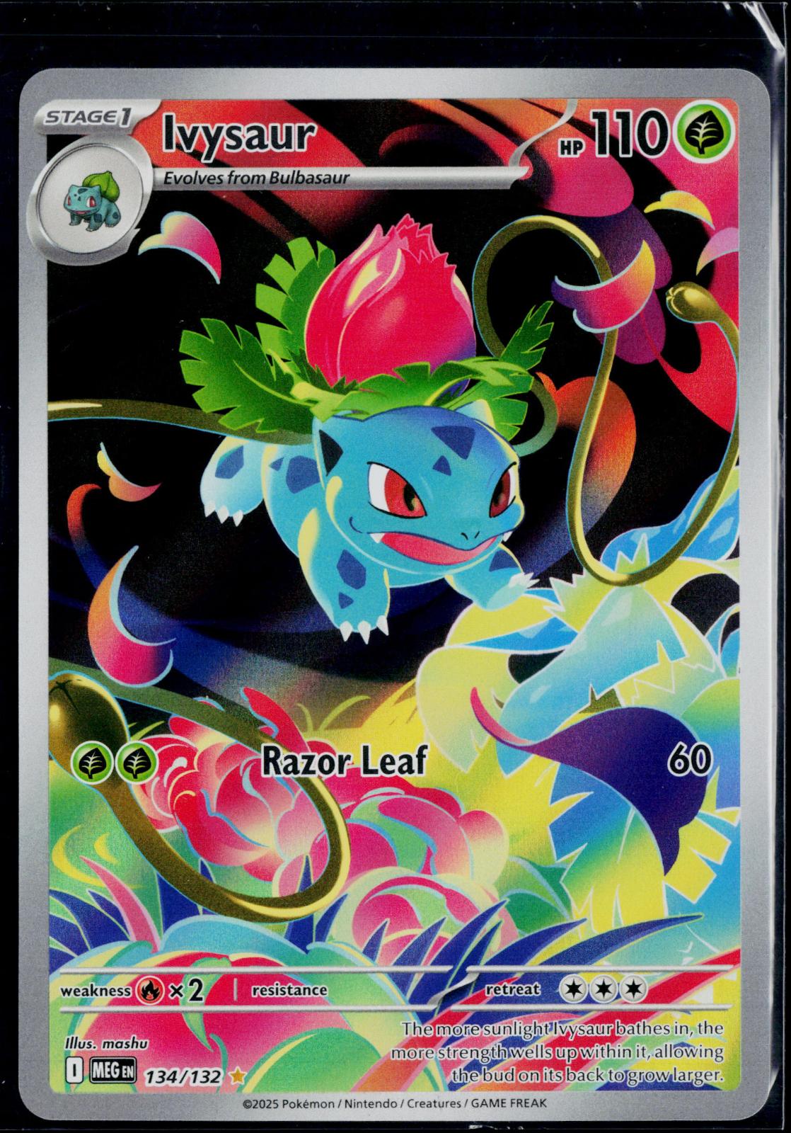 IVYSAUR 134/132 POKEMON MEGA EVOLUTION ILLUSTRATION RARE NM
