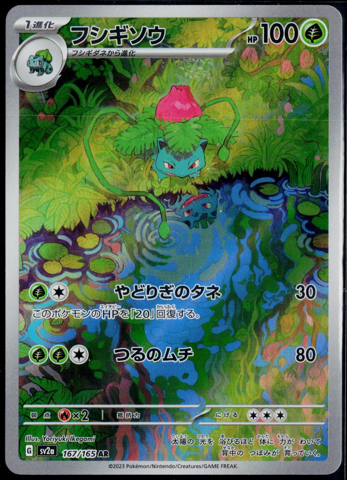 IVYSAUR 167/165 POKEMON SV2A: POKEMON CARD 151 ART RARE JAPANESE NM