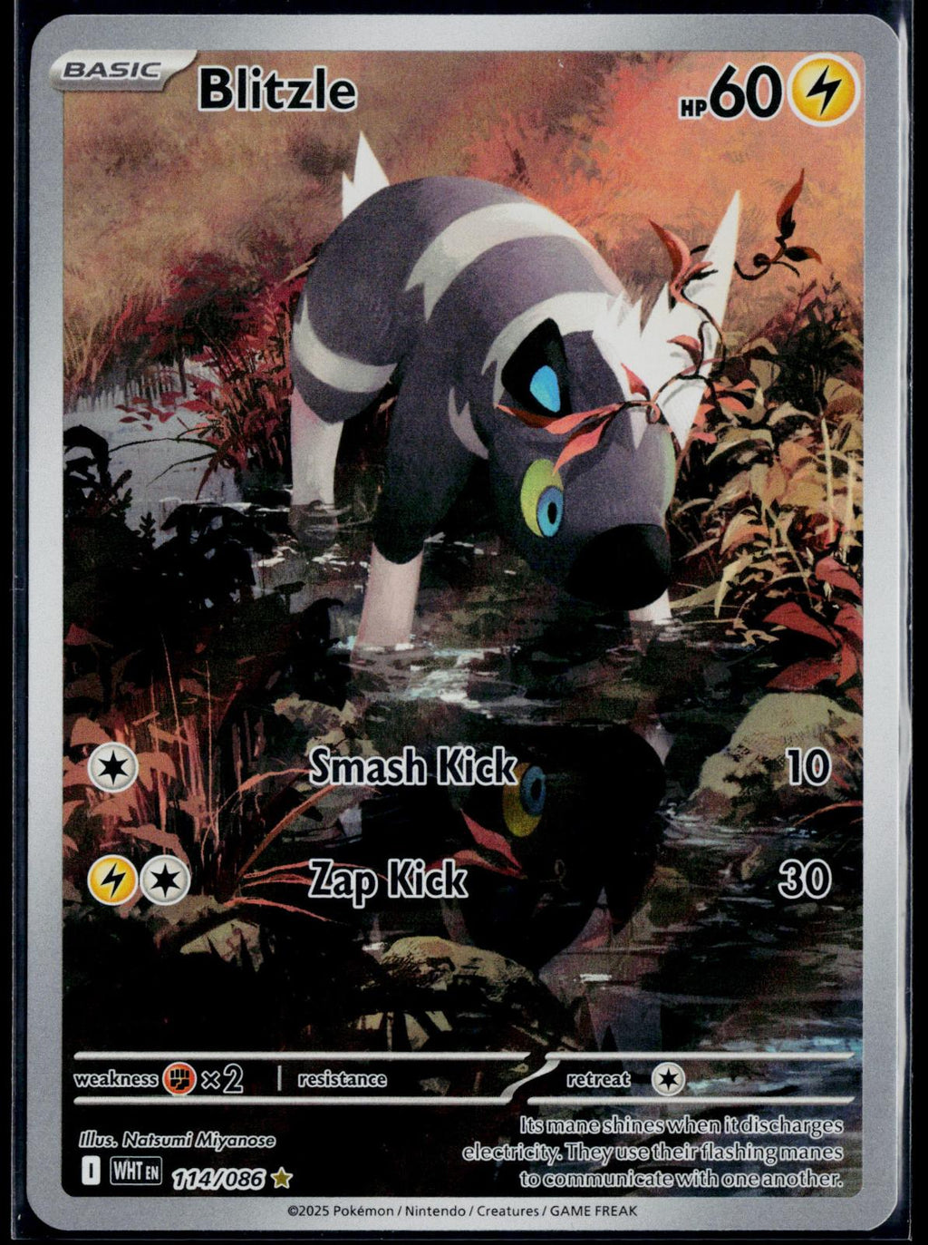 BLITZLE 114/086 POKEMON WHITE FLARE ILLUSTRATION RARE NM