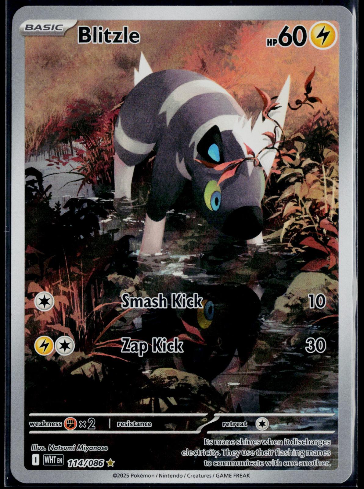 BLITZLE 114/086 POKEMON WHITE FLARE ILLUSTRATION RARE NM
